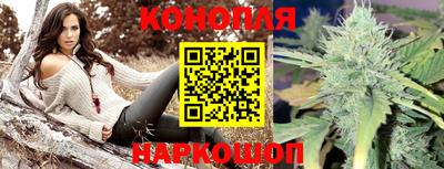 мяу мяу мука Лесосибирск