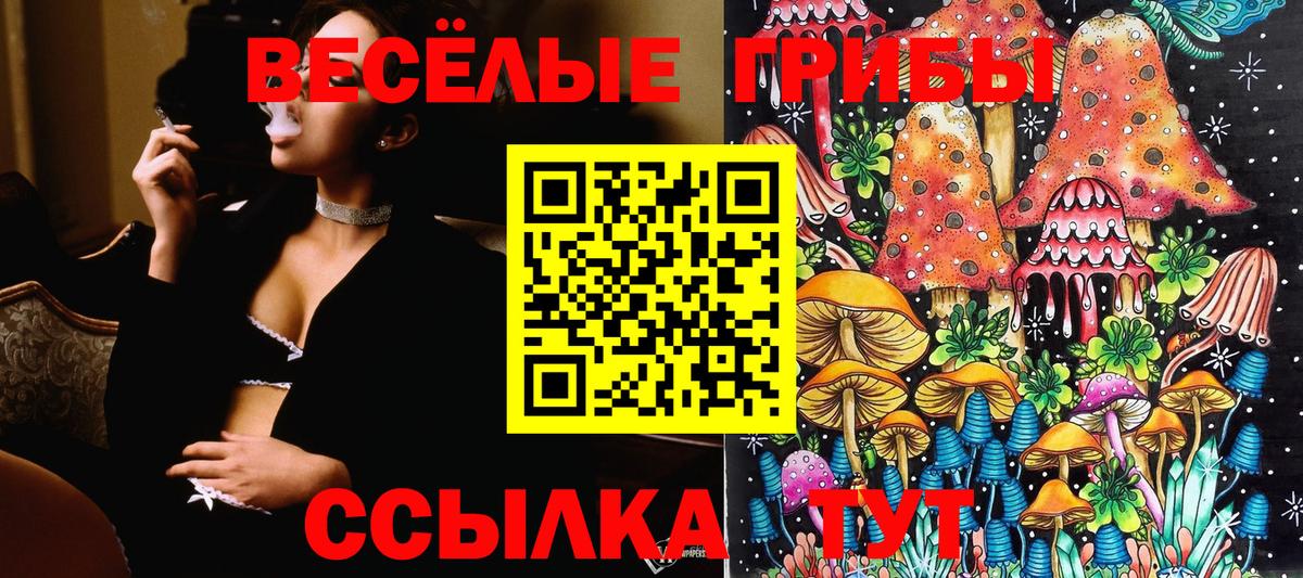 Галлюциногенные грибы Magic Shrooms  Вход с VPN  цены   Томск 