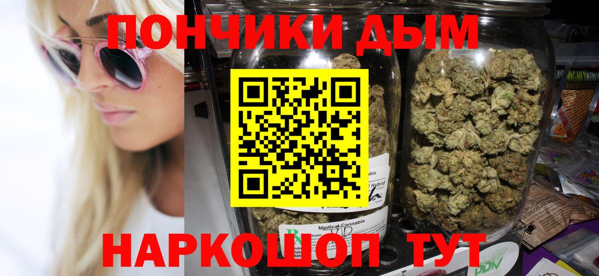 Бошки Шишки конопля Томск